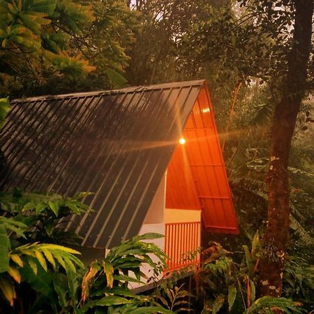 Munnar Home Stay Teadrops Plantation Villa Buitenkant foto