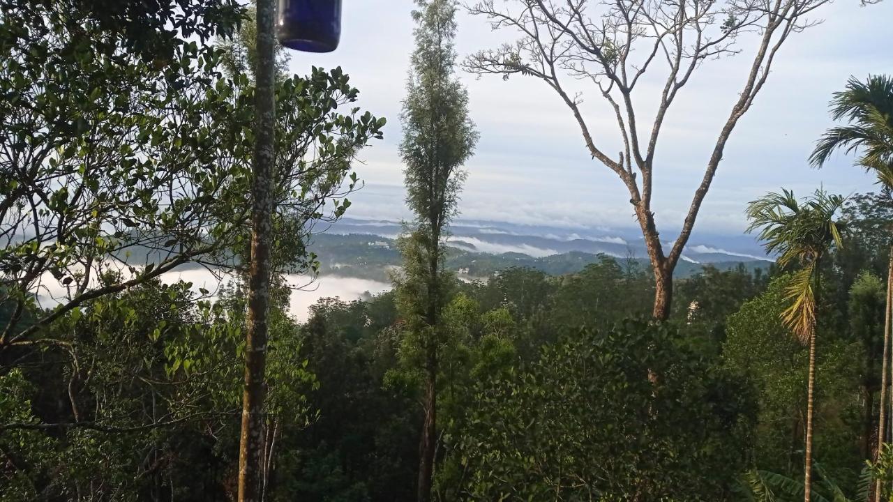 Munnar Home Stay Teadrops Plantation Villa Buitenkant foto