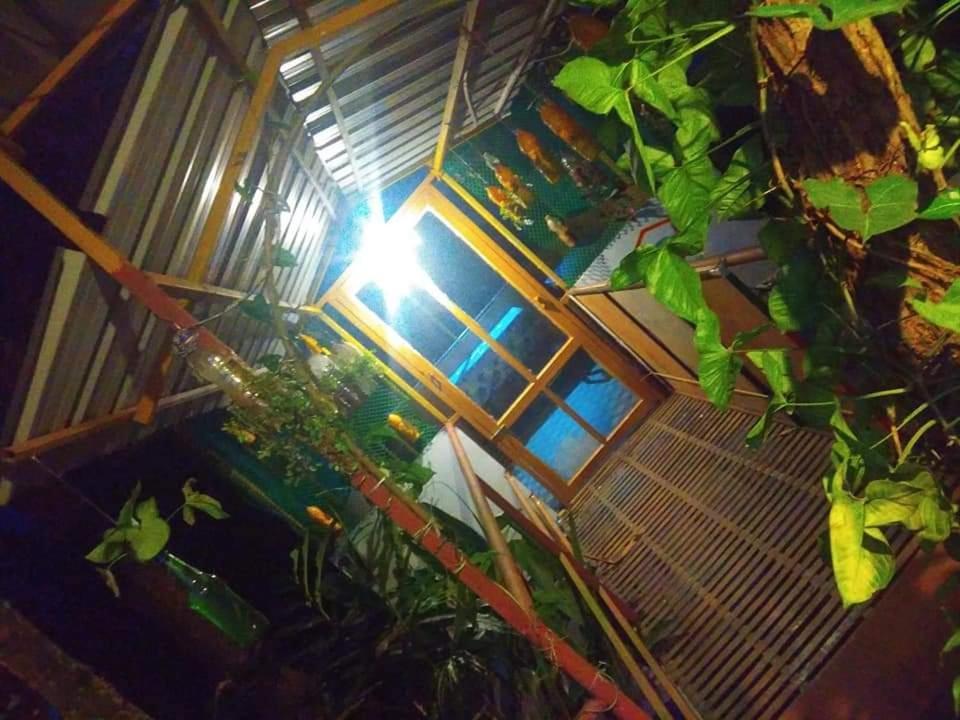 Munnar Home Stay Teadrops Plantation Villa Buitenkant foto