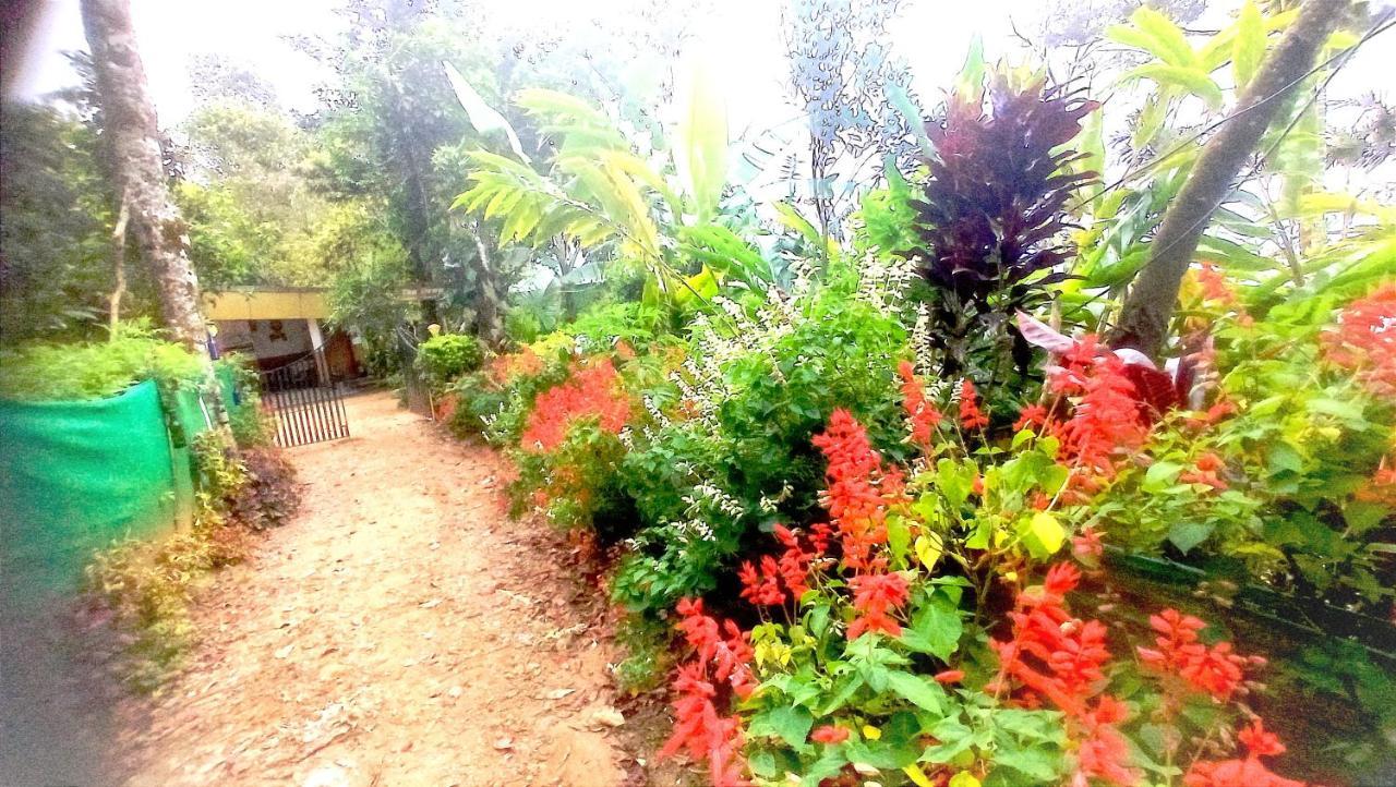 Munnar Home Stay Teadrops Plantation Villa Buitenkant foto