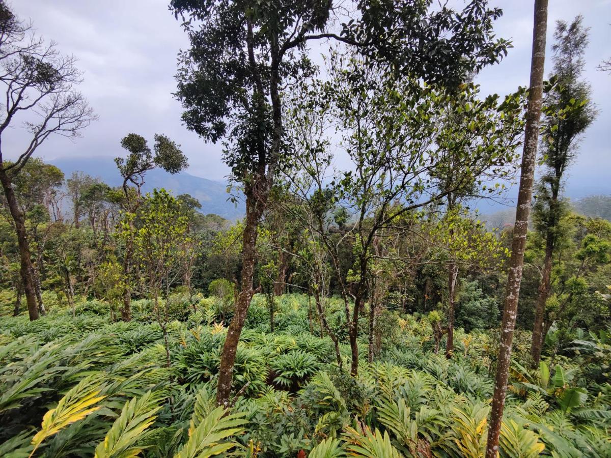 Munnar Home Stay Teadrops Plantation Villa Buitenkant foto