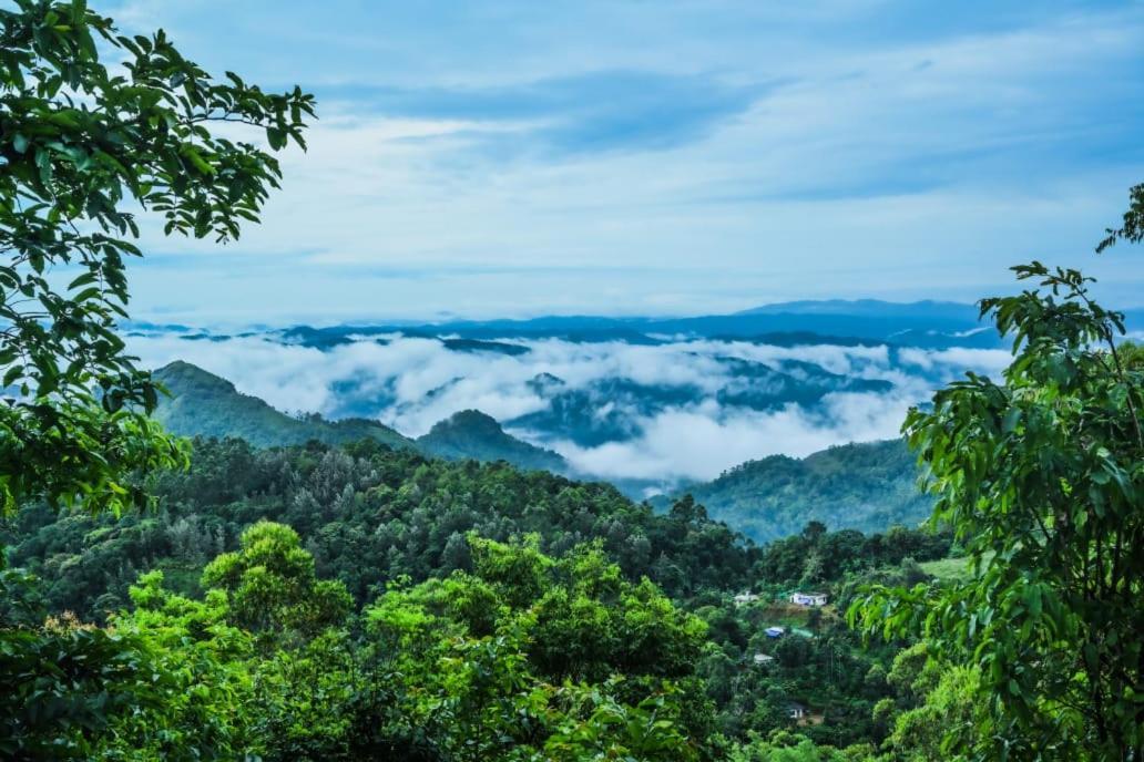 Munnar Home Stay Teadrops Plantation Villa Buitenkant foto
