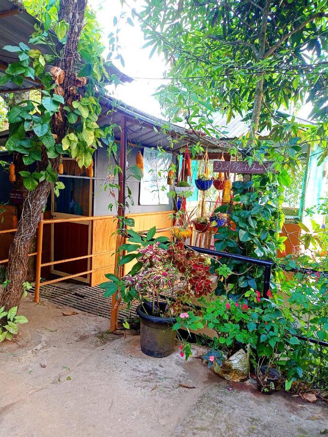 Munnar Home Stay Teadrops Plantation Villa Buitenkant foto