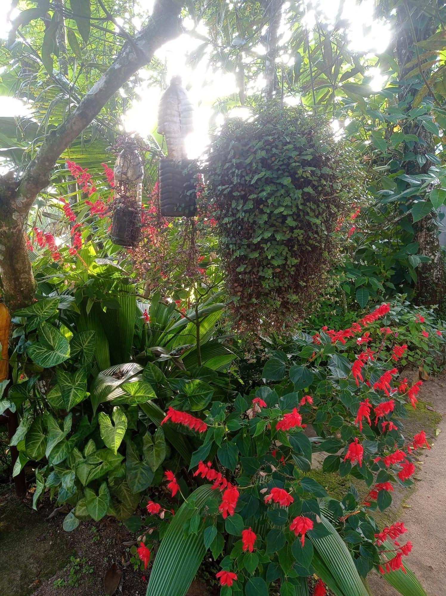 Munnar Home Stay Teadrops Plantation Villa Buitenkant foto