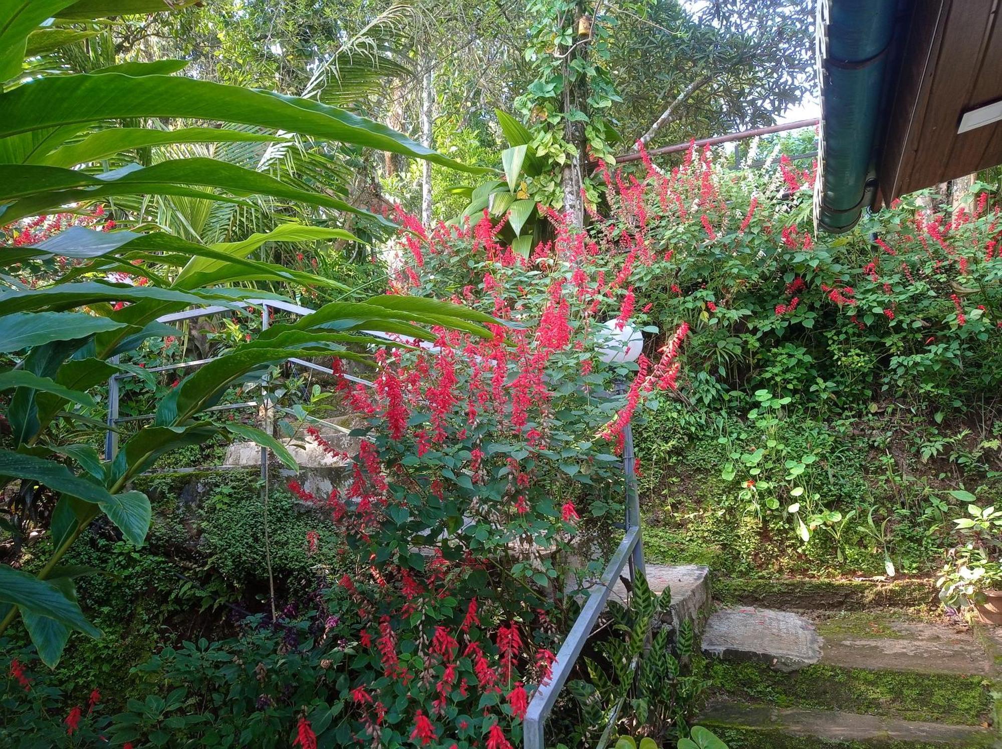 Munnar Home Stay Teadrops Plantation Villa Buitenkant foto