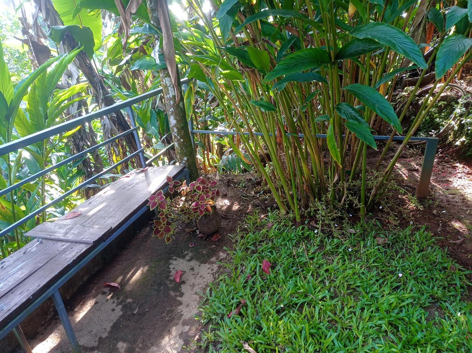 Munnar Home Stay Teadrops Plantation Villa Buitenkant foto