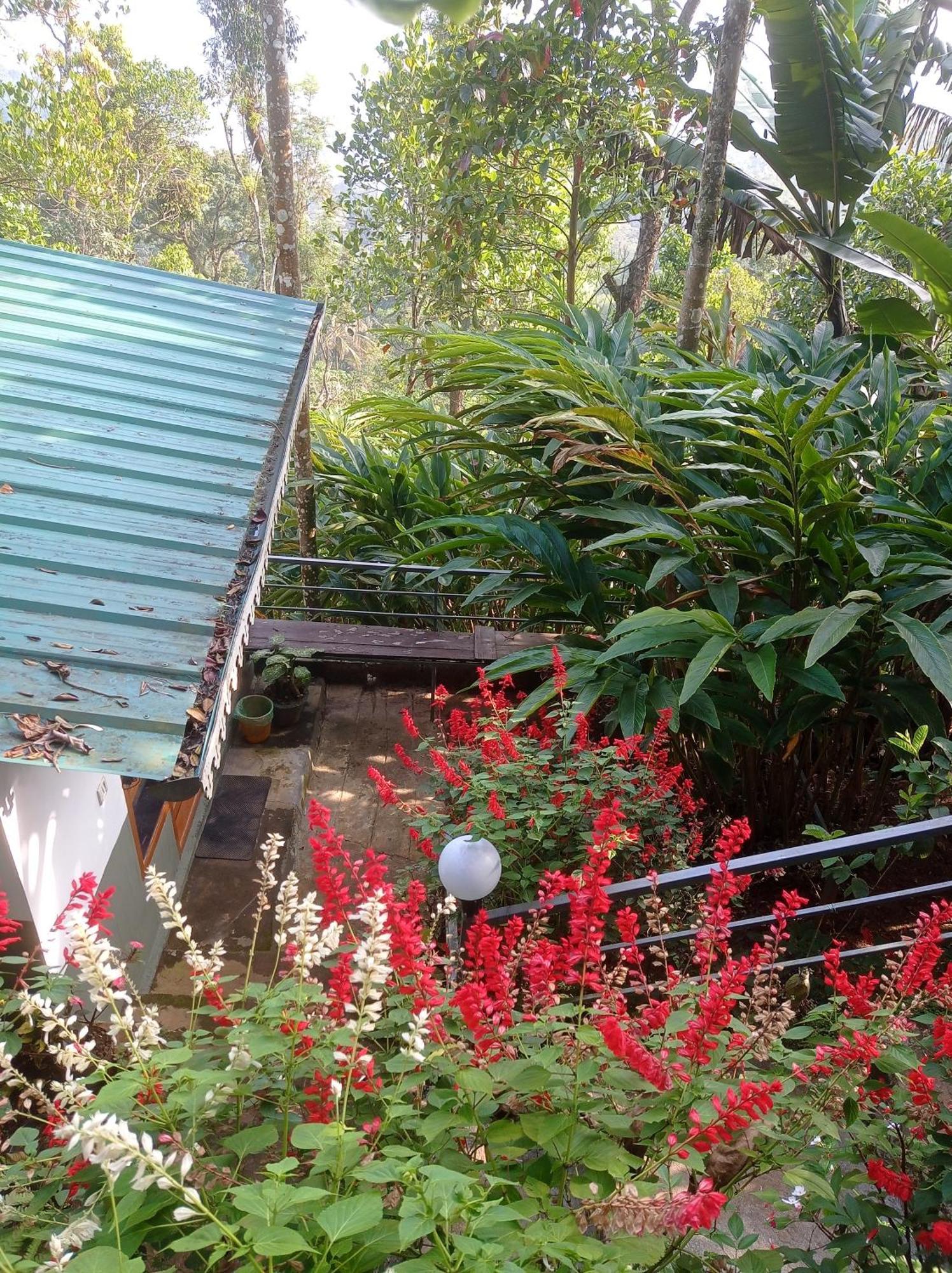 Munnar Home Stay Teadrops Plantation Villa Buitenkant foto