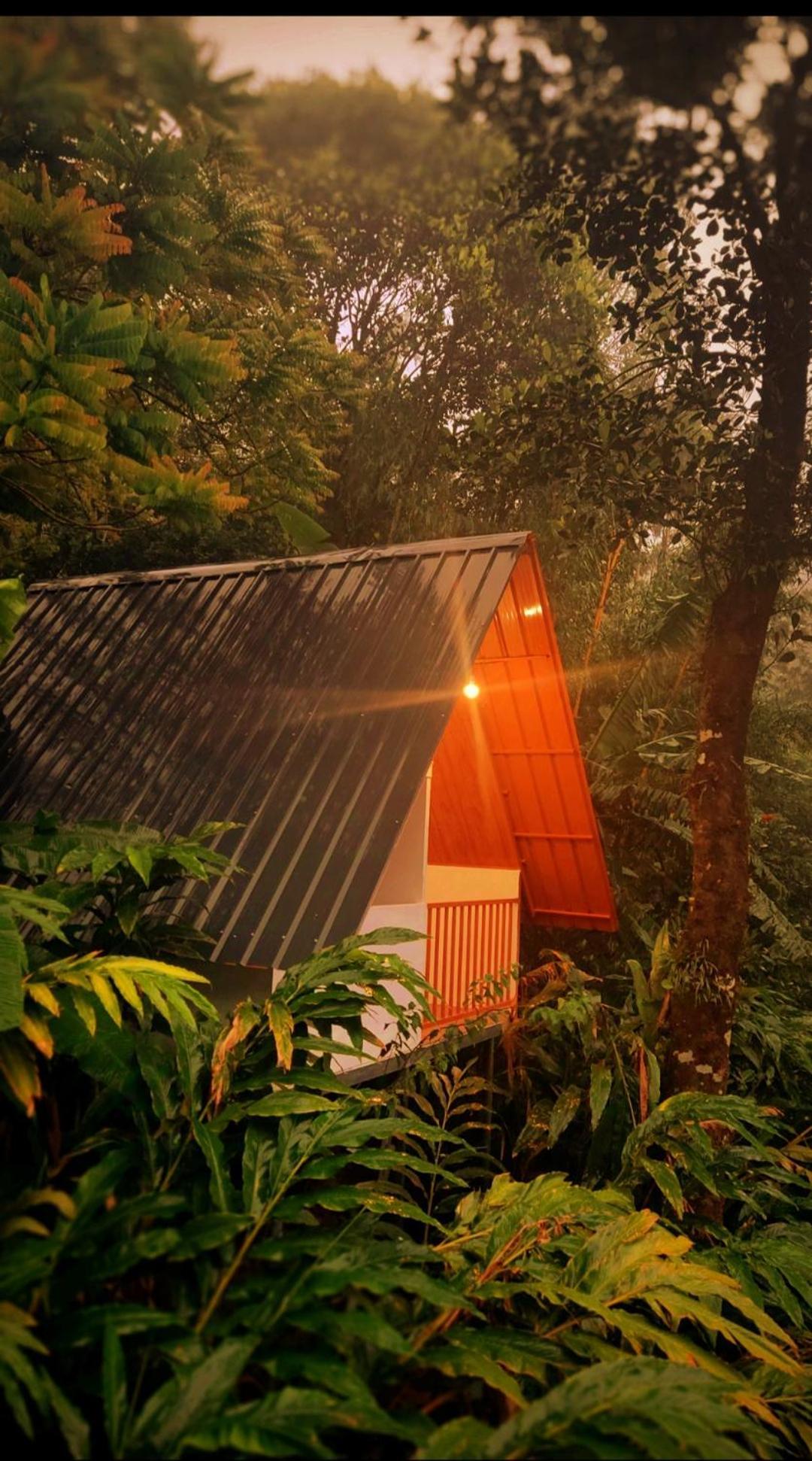 Munnar Home Stay Teadrops Plantation Villa Buitenkant foto
